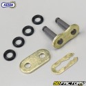 428 reinforced chain (O-rings) 120 links Afam  or