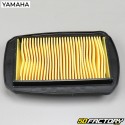 Air filter Yamaha MT 125 (2014 to 2017)