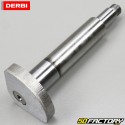 Arbre d'équilibrage Derbi Senda DRD Pro, GPR, Aprilia RS...