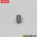 Balancing shaft pin Derbi Senda DRD Pro, GPR,  Aprilia RS ...