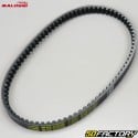 Belt Piaggio Typhoon,  Gilera DNA... 18.5x834 mm Malossi X Special Belt