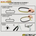 Belt Piaggio Typhoon,  Gilera DNA... 18.5x834 mm Malossi X Special Belt