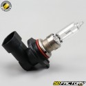 Headlight bulb HB3 12V 60W P20D Flosser