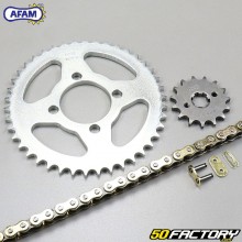 Reinforced chain kit 15x42x124 Honda CBR 125 (2004 to 2010) Afam  or