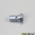 Banjo brake screw Ø10x1.00mm gray V1