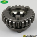 Gearbox secondary shaft pinion AM6 Minarelli (V1) Top Performances