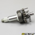 Complete Kick-start shaft 154 FMI Yamaha, MH, Rieju, Orcal ... 125