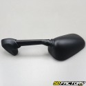 RétroDaelim vista dritta Roadsport 125 (2007 - 2011), Yamaha YZF-R1 (2000 - 2001), R6 (1999 - 2002)