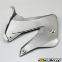 Front fairing Derbi Senda,  Gilera SMT,  RCR (In 2000 2010)