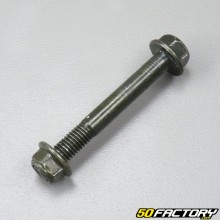 Benelli TNT 125 engine support axle (from 2017) V2