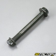 Benelli TNT 125 engine support axle (from 2017) V3