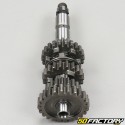 154 FMI gearbox primary shaft Yamaha, MH, Rieju, Orcal ... adaptable 125