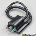 Adaptable ignition coil Yamaha YBR 125 (from 2004)