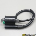 Adaptable ignition coil Yamaha YBR 125 (from 2004)