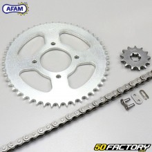 Kit chain 13x48x130 Hyosung Karion 125 (2008 to 2016) Afam gray