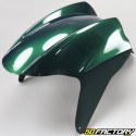 Kit de carenado racing MBK Nitro  et  Yamaha Aerox (antes de 2013) 50 2T Jaguar verde