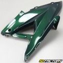 Kit di carenatura racing MBK Nitro  et  Yamaha Aerox (prima di 2013) 50 2T Jaguar verde