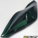 Kit de carenado racing MBK Nitro  et  Yamaha Aerox (antes de 2013) 50 2T Jaguar verde