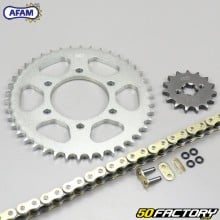 Reinforced chain kit with O-rings Kawasaki Eliminator 15 (42 to 130) Afam  or