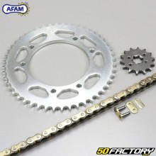 Reinforced chain kit 14x48x126 Rieju Tango  et  Yamaha XTX-125 Afam  or