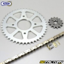 Kit de correntes reforçadas 14x45x122 Suzuki GSX-R e GSX-S 125 Afam  or