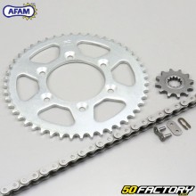 Chain Kit 12x48x124 Rieju RR, RS2 Afam gray