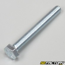 6x50 mm hex head screws (per unit)