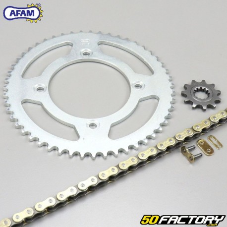 Reinforced chain kit 11x51x132 Beta RR 50 (from 2011) Afam  or