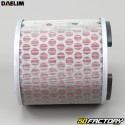 Daelim air filter Roadsport  et  Roadwin 125