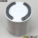 Filtro de aire Daelim Roadsport  et  Roadwin 125