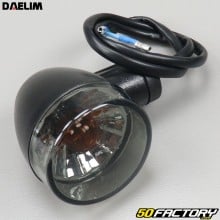 Front right turn signal Daelim Daystar 125 (2000 to 2016)