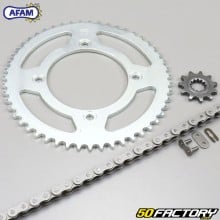 Chain Kit 11x51x126 Beta RR 50 (2004 to 2010) Afam gray