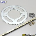 Reinforced chain kit 11x51x126 Beta RR 50 (before 2011) Afam  or