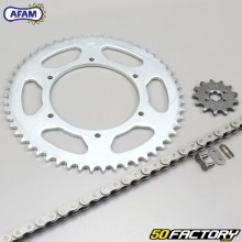 Kit chaîne 13x53x132 Aprilia RS, Derbi GPR 50... Afam gris