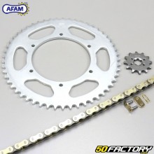 Kit catena rinforzata 12x53x132 Aprilia RS Derbi GPR 50... Afam  or