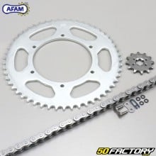 Reinforced O-ring chain kit 12x53x132 Aprilia RS Derbi GPR 50... Afam gray