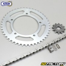 Kit catena 12x47x124 Aprilia RS Tuono  50  Afam grigio