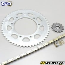 Kit de cadena reforzada 13x53x132 MBK, Malaguti,  Yamaha  50  Afam  or