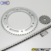 Kit catena 17x55x134 Yamaha DTR 125 (1988) Afam grigio