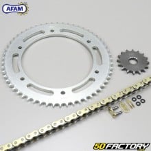 Reinforced O-ring chain kit 16x57x134 Yamaha DTR,  DTRE and DTX 125 Afam  or