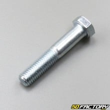 12x65 mm axle for lowering kit Derbi Senda,  Gilera SMT,  RCR...