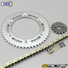 Kit catena O-ring rinforzata 16x50x130 Suzuki DR 125 (2008 a 2013) Afam  or