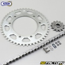 Reinforced chain kit with O-rings Roxon Duel 13 48x126x50 Afam gray