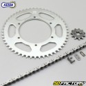 Chain Kit 11x53x132 Aprilia RS4,  RS et  Derbi GPR 50 Afam gray