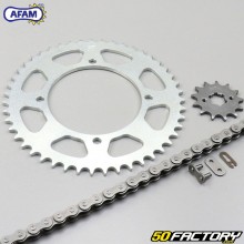 Kit catena 13x47x114 Yamaha Virago 125 Afam grigio