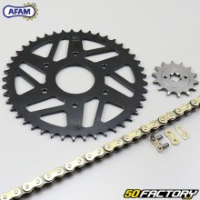 Reinforced chain kit 14x45x112 KTM Duke and RC 125 Afam  or