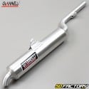 Silenciador Yamaha TDR 125 (1993 a 2003) Giannelli aluminio