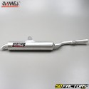 Silenciador Yamaha TDR 125 (1993 a 2003) Giannelli aluminio