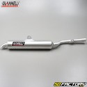 Auspuffanlage
 Yamaha TDR  XNUMX (XNUMX zu XNUMX) Giannelli  Aluminium