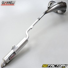 Auspuffanlage Yamaha TDR  XNUMX (XNUMX zu XNUMX) Giannelli  Aluminium